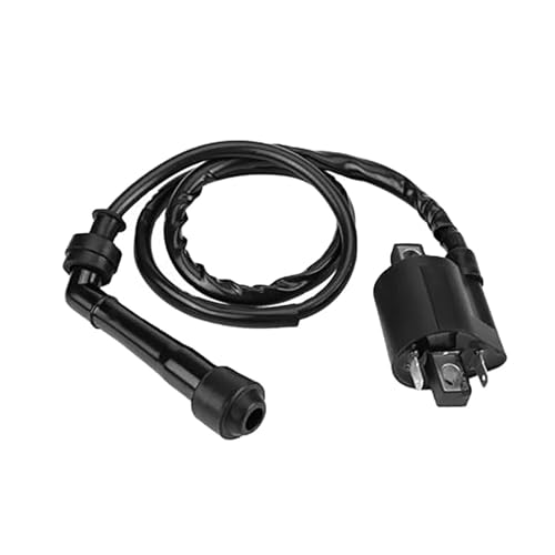 SJSJJAH Motorrad-Leistungsteile Zündspule Zündsystemeinheit Passend for Intruder Volusia 800 VL800 2001 2002 2003 2004 SJSJJAH Motorrad-Leistungsteile Zündspule Zündsystemeinheit Passend for Intruder Volusia 800 VL800 2001 2002 2003 2004 von SJSJJAH