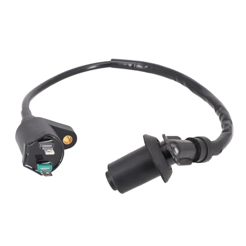 SJSJJAH Motorrad-Zündspule 12 V for TRX300 GY6 50CC 125CC 150CC Motor Motorrad Dirt Bike Scooter Moped Hohe Leistung SJSJJAH Motorrad-Zündspule 12 V for TRX300 GY6 50CC 125CC 150CC Motor Motorrad Dirt Bike Scooter Moped Hohe Leistung von SJSJJAH