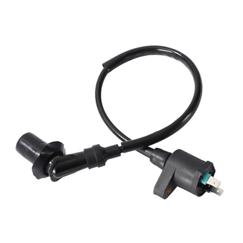SJSJJAH Motorrad-Zündspule 12 V for TRX300 GY6 50CC 125CC 150CC Motor Motorrad Dirt Bike Scooter Moped Hohe Leistung SJSJJAH Motorrad-Zündspule 12 V for TRX300 GY6 50CC 125CC 150CC Motor Motorrad Dirt Bike Scooter Moped Hohe Leistung von SJSJJAH