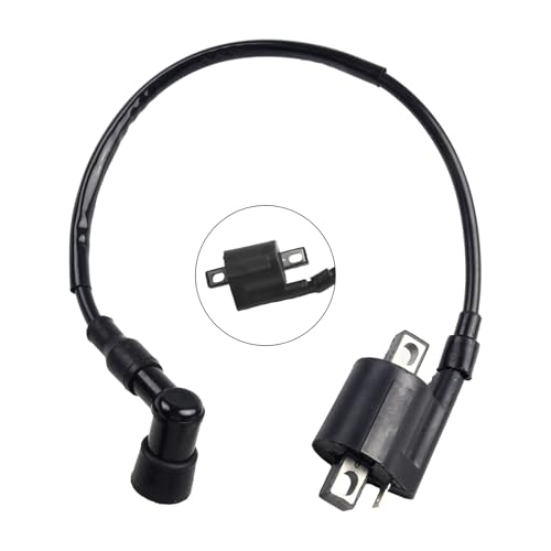 SJSJJAH Motorradteile Zündspule Motorrad-Umbauteile for 50-250ccm-Motoren ATVs Links & Rechts Motorrad SJSJJAH Motorradteile Zündspule Motorrad-Umbauteile for 50-250ccm-Motoren ATVs Links & Rechts Motorrad von SJSJJAH