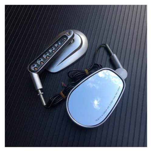 SJSJJAH Paar Schwarz/Chrom Motorrad Spiegel Muscle LED Blinker Licht Moto Rückansicht spiegel fall for V-ROD V ROD VRSCF(Silver) von SJSJJAH