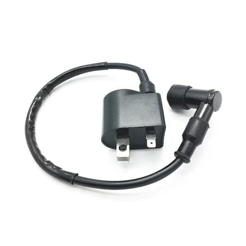 SJSJJAH Zündspule for LT50 LT 50 Alle Jahre Quad Quadrunner Zündkerzenstecker SJSJJAH Zündspule for LT50 LT 50 Alle Jahre Quad Quadrunner Zündkerzenstecker von SJSJJAH