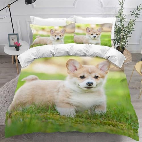 SJSXWQN Bettwäsche 200x200 SüßEr Akita Inu Bettwäsche-Set mit Reißverschluss Schließung für Erwachsene Kinder Weicher Atmungsaktive Mikrofaser Bettbezug + 2 Kopfkissenbezug 80x80 cm von SJSXWQN