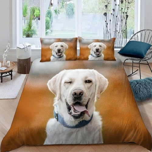 SJSXWQN Bettwäsche 200x200 WeißEr Labrador Retriever Bettwäsche-Set mit Reißverschluss Schließung für Erwachsene Kinder Weicher Atmungsaktive Mikrofaser Bettbezug + 2 Kopfkissenbezug 80x80 cm von SJSXWQN