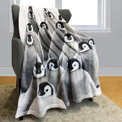 SJSXWQN Decke Grauer Pinguin Kuscheldecke Flauschig für Couch und Bett Weich Warme Mikrofaser Wohndecke Fleecedecke als Tagesdecke Sofadecke Couchdecke - 180x240 cm SJSXWQN Decke Grauer Pinguin Kuscheldecke Flauschig für Couch und Bett Weich Warme Mikrofaser Wohndecke Fleecedecke als Tagesdecke Sofadecke Couchdecke - 180x240 cm von SJSXWQN