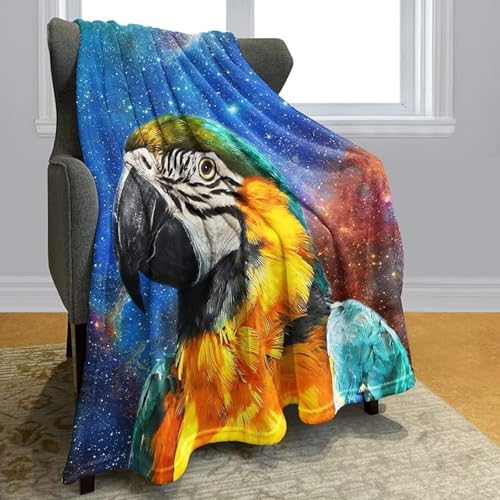 SJSXWQN Decke Papagei Kuscheldecke Flauschig für Couch und Bett Weich Warme Mikrofaser Wohndecke Fleecedecke als Tagesdecke Sofadecke Couchdecke - 180x240 cm von SJSXWQN