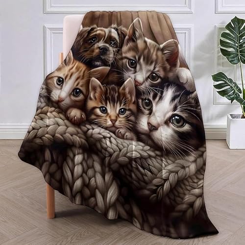 SJSXWQN Decke SüßE Katze Kuscheldecke Flauschig für Couch und Bett Weich Warme Mikrofaser Wohndecke Fleecedecke als Tagesdecke Sofadecke Couchdecke - 180x240 cm von SJSXWQN