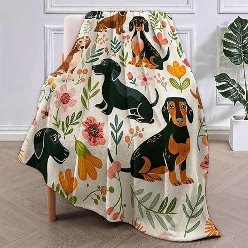 SJSXWQN Kuscheldecke Dackel Kuscheldecke Flauschig Extra Weich Warme Mikrofaser Wohndecke Fleecedecke als Tagesdecke Sofadecke Couchdecke Bettüberwurf - 180x220 cm von SJSXWQN