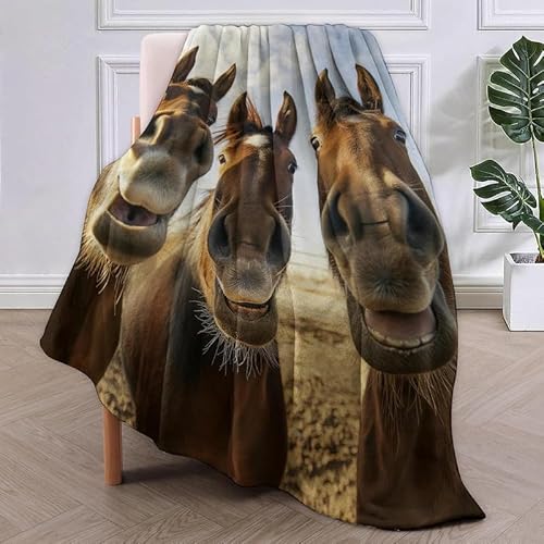 SJSXWQN Kuscheldecke Esel Kuscheldecke Flauschig für Couch und Bett Weich Warme Mikrofaser Wohndecke Fleecedecke als Tagesdecke Sofadecke Couchdecke - 150x200 cm von SJSXWQN