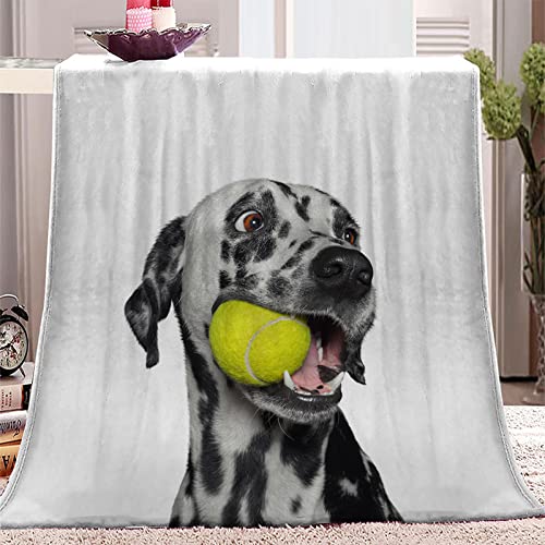 SJSXWQN Kuscheldecke Graue Dalmatiner Kuscheldecke Flauschig für Couch und Bett Weich Warme Mikrofaser Wohndecke Fleecedecke als Tagesdecke Sofadecke Couchdecke - 150x200 cm von SJSXWQN