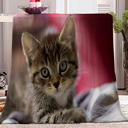 SJSXWQN Kuscheldecke Graue Katze Kuscheldecke Flauschig Extra Weich Warme Mikrofaser Wohndecke Fleecedecke als Tagesdecke Sofadecke Couchdecke Bettüberwurf - 180x220 cm von SJSXWQN