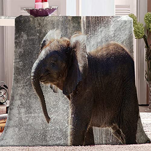SJSXWQN Kuscheldecke Grauer Elefant Kuscheldecke Flauschig Extra Weich Warme Mikrofaser Wohndecke Fleecedecke als Tagesdecke Sofadecke Couchdecke Bettüberwurf - 180x220 cm von SJSXWQN