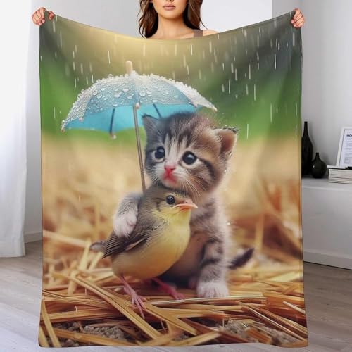 SJSXWQN Kuscheldecke SüßE Katze Kuscheldecke Flauschig Extra Weich Warme Mikrofaser Wohndecke Fleecedecke als Tagesdecke Sofadecke Couchdecke Bettüberwurf - 180x220 cm von SJSXWQN