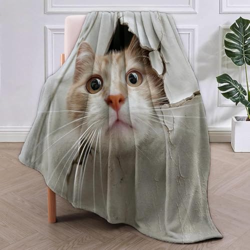 SJSXWQN Kuscheldecke SüßE Katze Kuscheldecke Flauschig für Couch und Bett Weich Warme Mikrofaser Wohndecke Fleecedecke als Tagesdecke Sofadecke Couchdecke - 150x200 cm von SJSXWQN