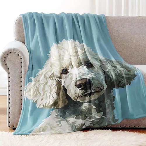 SJSXWQN Kuscheldecke WeißEr Pudel Kuscheldecke Flauschig Extra Weich Warme Mikrofaser Wohndecke Fleecedecke als Tagesdecke Sofadecke Couchdecke Bettüberwurf - 180x220 cm SJSXWQN Kuscheldecke WeißEr Pudel Kuscheldecke Flauschig Extra Weich Warme Mikrofaser Wohndecke Fleecedecke als Tagesdecke Sofadecke Couchdecke Bettüberwurf - 180x220 cm von SJSXWQN