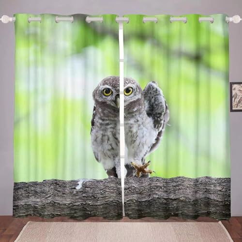 SJSXWQN Vorhang Graue Eule Gardinen mit Ösen Vorhang Blickdicht Thermo Verdunklungsvorhänge Schiebegardinen für Schlafzimmer Wohnzimmer H 200 x B 140 cm 2er Set von SJSXWQN