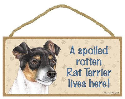 (sjt61993) A Spoiled Rotten Rat Terrier Lives Here Holz Schild 12,7 x 25,4 cm von SJT