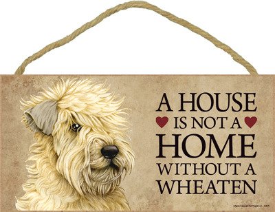 A House Is Not A Home Without A Wheaten Terrier 12,7 x 25,4 cm Türschild von SJT ENTERPRISES, INC.