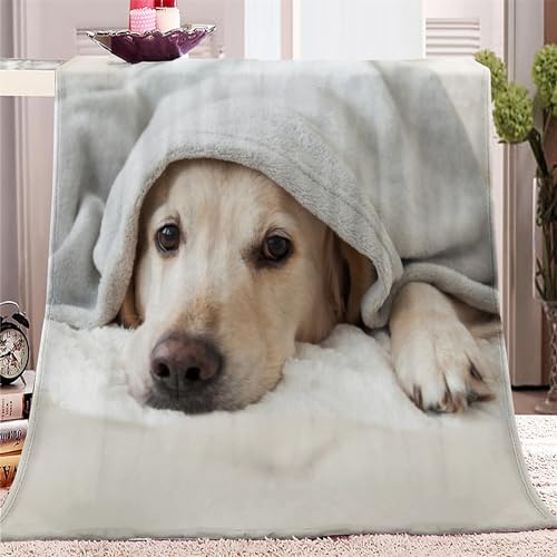Kuscheldecke 130 x 150cm Tierisches Golden Retriever-Muster 3D Druck Fleecedecke Flanelldecke Weich Wohndecke Sofadecke Zweiseitige Decke Für Kinder Jungen Erwachsene von SJYHNB