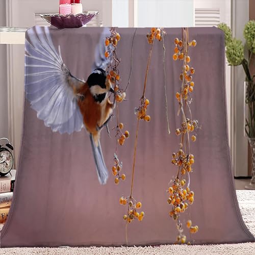 Kuscheldecke 130 x 150cm Vögel und Früchte 3D Druck Fleecedecke Flanelldecke Weich Wohndecke Sofadecke Zweiseitige Decke Für Kinder Jungen Erwachsene von SJYHNB