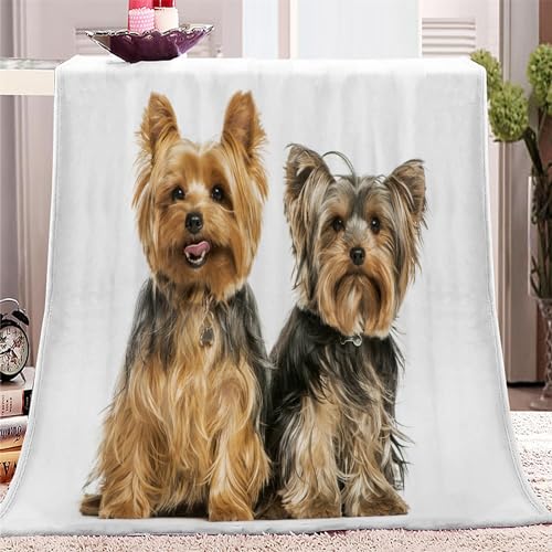 Kuscheldecke 150x200 Tier Yorkshire Terrier Wohndecke Sofadecke Wolldecke Bettlaken Wärme und Isolierung Decke, Klimaanlage Decke für Wohn und Schlafräume von SJYHNB