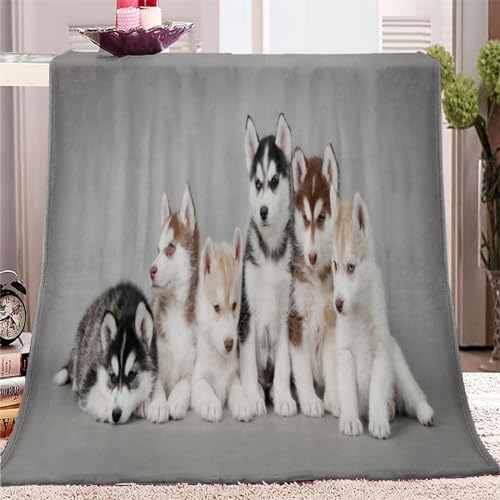 Kuscheldecke 180x200 cm Tierisches Husky-Muster 3D Druck Weichen Kuscheldecke Flauschig Fleecedecke als Sofadecke Tagesdecke Couchdecke für Mädchen Jungen von SJYHNB