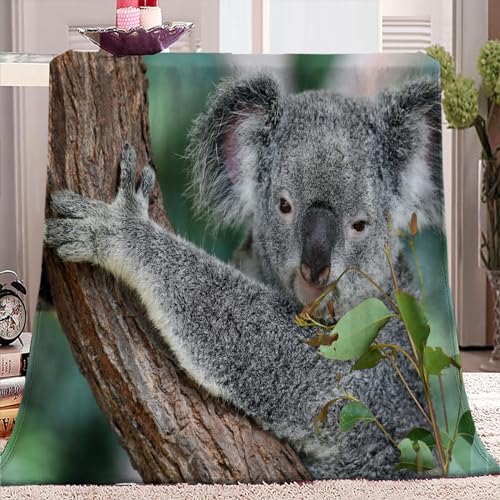 Kuscheldecke 220x240 Tier Koala 3D Druck Weichen Kuscheldecke Flauschig Fleecedecke als Sofadecke Tagesdecke Couchdecke für Mädchen Jungen von SJYHNB