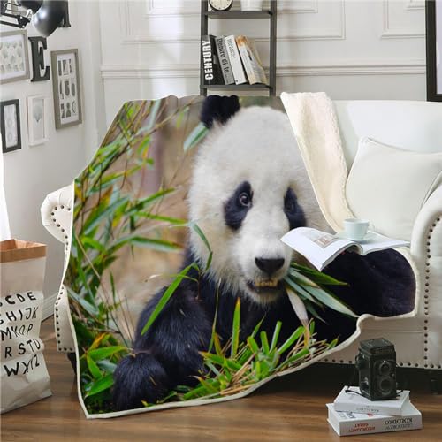 Fleecedecke Kuscheldecke 150x200 Kinder Jungen Mädche Panda Wolldecke Weich Sofadecke Wohndecke Couchdecke Wohnzimmerdecke Sofa Decke Panda Bed Decke XL Warm Sherpa von SK-YBB