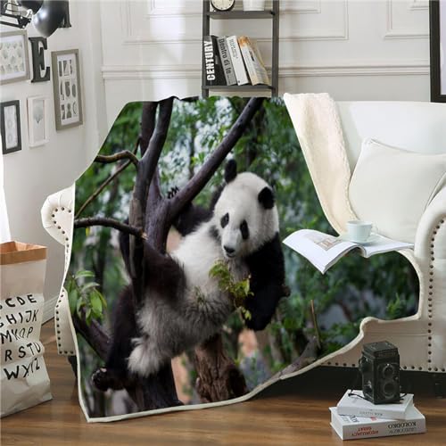 Fleecedecke Kuscheldecke 150x200 Kinder Jungen Mädche Panda Wolldecke Weich Sofadecke Wohndecke Couchdecke Wohnzimmerdecke Sofa Decke Panda Bed Decke XL Warm Sherpa von SK-YBB