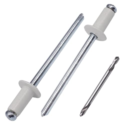 SKIR'CO (100 Stück) Blindnieten lackiert 4,0 x 8 mm, Aluminium Popnieten, Bohrer enthalten (Grauweiß RAL 9002) von SKIR'CO