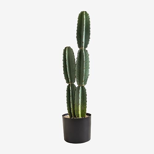 SKLUM Künstlicher Kaktus Cereus 70 cm ↑70 cm von SKLUM