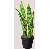 Sklum - Dekorative Kunstpflanze Sansevieria 45 cm ↑45 cm - ↑45 cm ↑45 cm von SKLUM