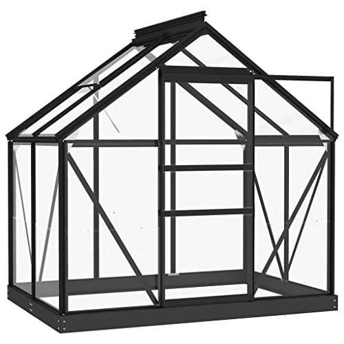 SKM Glas Gewächshaus Anthrazit 155x103x191 cm Aluminium,Heim & Garten,Rasen & Garten,Gartenpflege,Gewächshäuser,Anthrazit,70.58 kg,3082333 von SKM