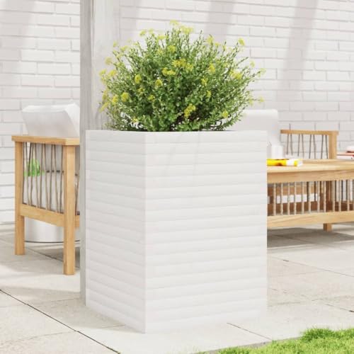 SKM Pflanzkübel Weiß 50x50x68,5 cm Massivholz Kiefer,Heim & Garten,Rasen & Garten,Gartenpflege,Blumentöpfe & Pflanzgefäße,Weiß,26KG,3282465 SKM Pflanzkübel Weiß 50x50x68,5 cm Massivholz Kiefer,Heim & Garten,Rasen & Garten,Gartenpflege,Blumentöpfe & Pflanzgefäße,Weiß,26KG,3282465 von SKM