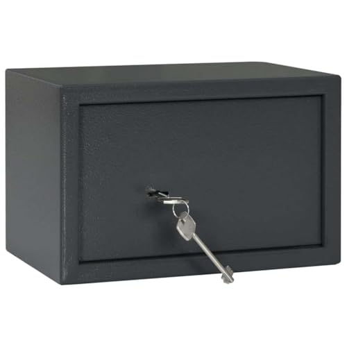 SKM Safe Box mit Schloss Dunkelgrau RAL7016 20 x 31 x 20 cm Stahl,Heim & Garten,Büro- & Haussicherheit,Safes & Tresore,Grau,4.76 kg,42011314 von SKM