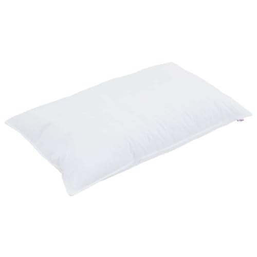 SKM Steppbett mit Kissen 2 pcs Weiß 135 x 200 cm Mikrofaser,Heim & Garten,Haushaltswäsche,Bettwäsche,Bettdecken,Weiß,4.54 kg,3376790 von SKM