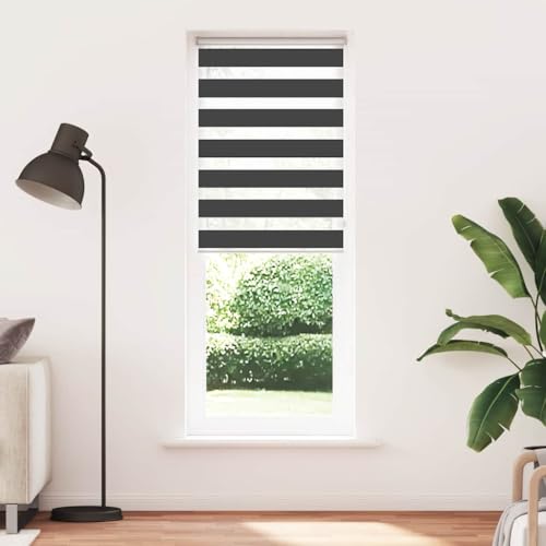 SKM Zebrarollo Schwarz 70x200 cm Stoffbreite 65,9 cm Polyester,Heim & Garten,Dekoration,Fensterdrapierung,Jalousien & Rollos,Schwarz,0.84 kg,4014255 von SKM