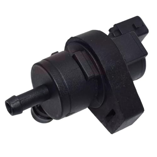 2pins 13901433603 Dampf Kanister Purge Magnetventil Fit Für BMW E38 E39 E46 E53 X5 Z3 von SLAHAJ