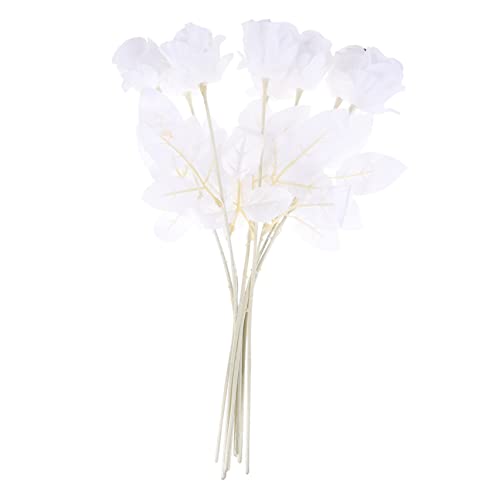 SLCHJX 8pcs Augenblume Arrangement gefälschte Seide Rose Halloween Rose mit Augapfel Rosen Schwarze Rosen mit Augäpfel gefälschte Blumen im Freien Augapfel Blumen Artefi, Orange SLCHJX 8pcs Augenblume Arrangement gefälschte Seide Rose Halloween Rose mit Augapfel Rosen Schwarze Rosen mit Augäpfel gefälschte Blumen im Freien Augapfel Blumen Artefi, Orange von SLCHJX