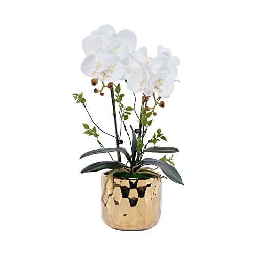 SLCHJX Faux Blumen Orchidee falsche Blumen in goldplattierter Keramikvase, Kunstpflanzen Bonsai Seidenblumen für Home Office Balkon Dekor für jeden Anlass, c (b) von SLCHJX