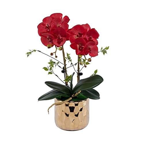 SLCHJX Faux Blumen Orchidee falsche Blumen in goldplattierter Keramikvase, Kunstpflanzen Bonsai Seidenblumen für Home Office Balkon Dekor für jeden Anlass, c (e) von SLCHJX