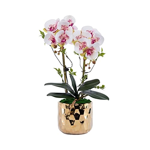 SLCHJX Faux Blumen Orchidee falsche Blumen in vergoldeter Keramikvase, Kunstpflanzen Bonsai Seidenblumen für Home Office Balkon Dekor für jeden Anlass, c (d) von SLCHJX