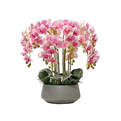 SLCHJX Gefälschte Pflanzen Phalaenopsis gefälschte Blumen künstliche Pflanzenblumen verblassen freie realistische Heimatendekoration Künstliche Pflanzen für Wohnkultur (grau a), grau von SLCHJX