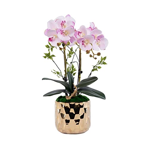 SLCHJX Kunstblumen Orchidee falsche Blumen in Goldener Keramikvase, Kunstpflanzen Bonsai Seidenblumen für Home Office Balkon Dekor für jeden Anlass, c (f) von SLCHJX