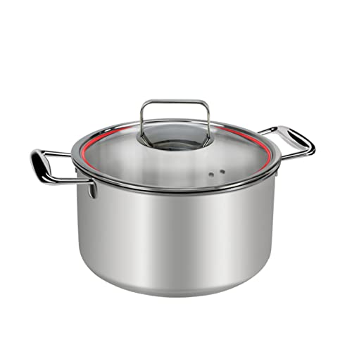 Stammer mit großer Kapazität - 20 cm, 24 cm Haushaltsbestandtöpfe mit Glasdeckel, Pasta -Topf mit Titanlegierung, für Zuhause, Schlafsaal, Restaurant, Silver Color () von SLCHJX