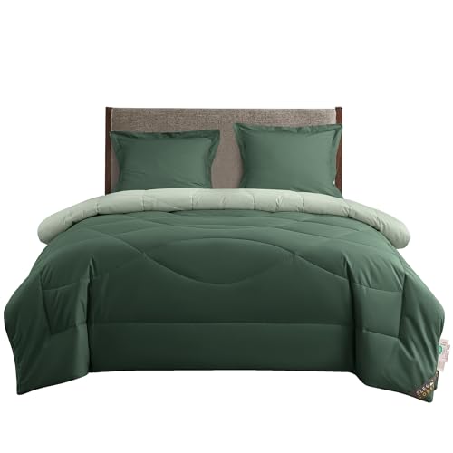 SLEEP COMFY 4 Jahreszeiten Bettdecke 200x200 cm – Sommerbettdecke & Kuscheldecke – Anti-Allergie Baumwolle – Ganzjahresdecke ohne Bezug - Oeko-TEX Zertifiziert – Für Doppelbett & Gästezimmer von SLEEP COMFY