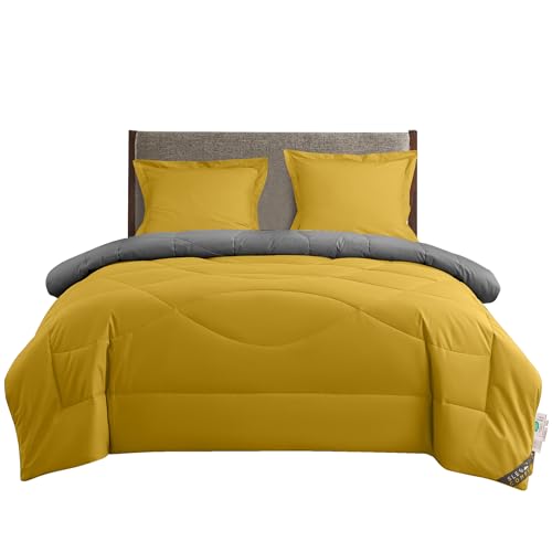 SLEEP COMFY 4 Jahreszeiten Bettdecke 240x220 cm – Ganzjahresdecke ohne Bezug - Leichte Sommerdecke & Kuscheldecke – Anti-Allergie Baumwolle – Oeko-TEX Zertifiziert – King-Size Betten von SLEEP COMFY