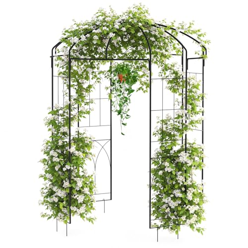 Eleganter Vogelkäfig-Gartenbogen – Schmiedeeiserne Laube mit Haken zum Aufhängen, französischer Stil, Spalier für Kletterpflanzen und Hochzeitszeremonien, robuste Metall-Pavillon-Pergola, 2,5 m Eleganter Vogelkäfig-Gartenbogen – Schmiedeeiserne Laube mit Haken zum Aufhängen, französischer Stil, Spalier für Kletterpflanzen und Hochzeitszeremonien, robuste Metall-Pavillon-Pergola, 2,5 m von SLEKVERSA