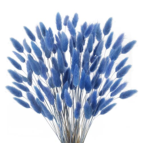 SLFYEE 120 Pcs Trockenblumen Klein Pampasgras Natürliche Getrocknet Blumen Getrocknetes Schilfgras Klein für Hochzeit Hause Party Wedding Büro Fotografie Vase Deko Blau von SLFYEE