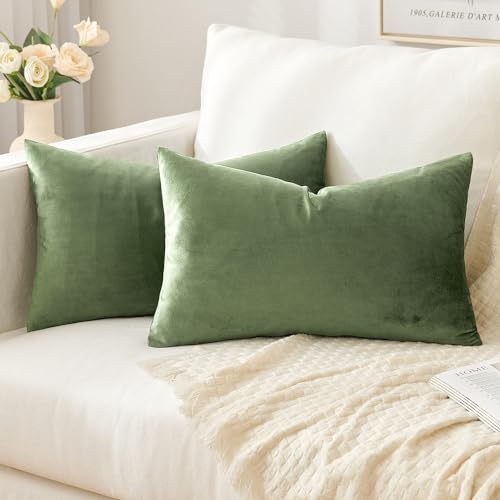 Slozzi 2er Set Samt Kissenbezüge Haushalt Dekokissen Dekorative Kissenhülle Weich Sofakissen für Sofa Schlafzimmer Wohnzimmer 30x50 cm Grün von Slozzi